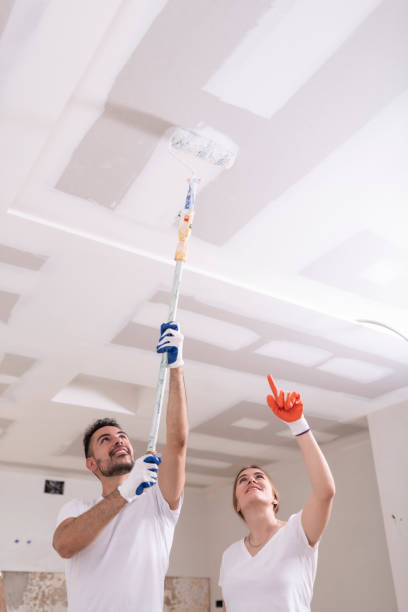 Cynthiana, KY Mold Removal Company