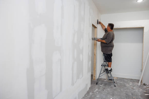 Best Black Mold Removal  in Cynthiana, KY