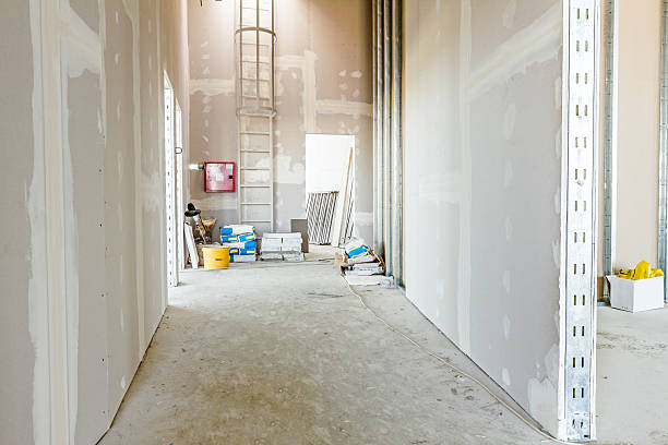 Best Post-Construction Mold Inspection  in Cynthiana, KY