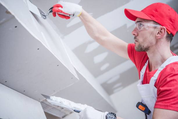 Best Mold Documentation for Insurance Claims  in Cynthiana, KY